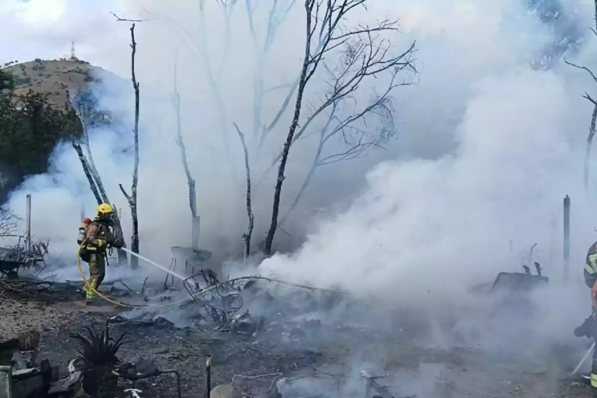 Bombers combaten un incendi forestal entre arbres cremats i un dens núvol de fum blanc.