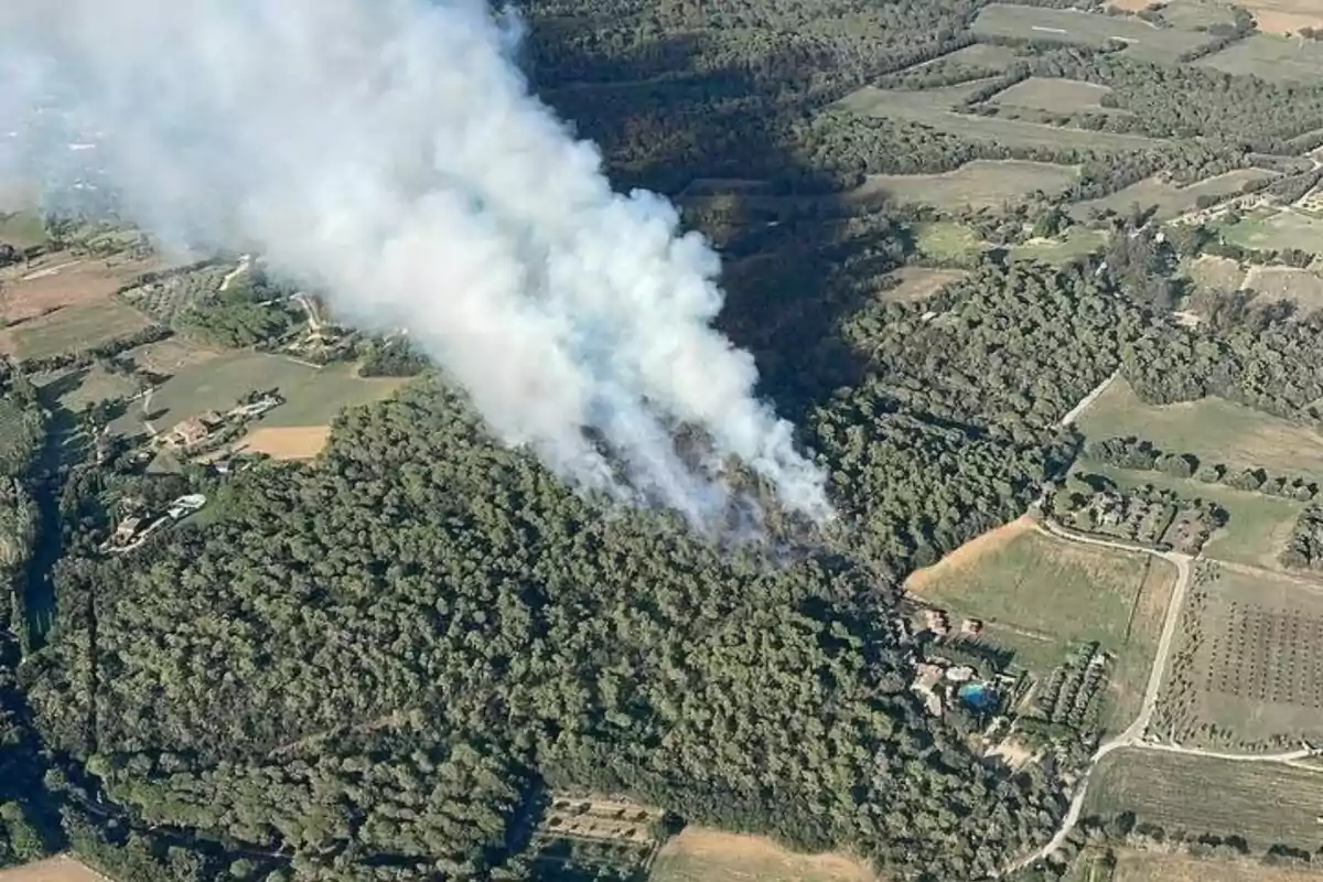 Vista aèria d’un incendi forestal en una zona boscosa envoltada de camps i algunes cases mentre una gran columna de fum blanc s’eleva sobre els arbres
