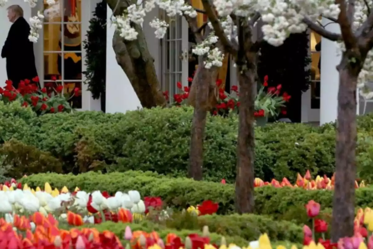 A man in a dark suit walks near a garden with colorful flowers and trees in the foreground. A man in a dark suit walks near a garden with colorful flowers and trees in the foreground.