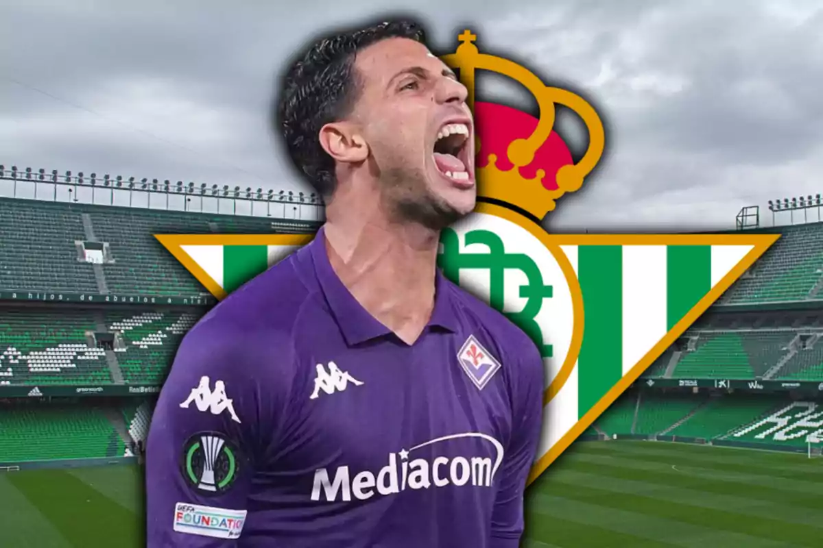 Mandràgora i l’escut del Reial Betis