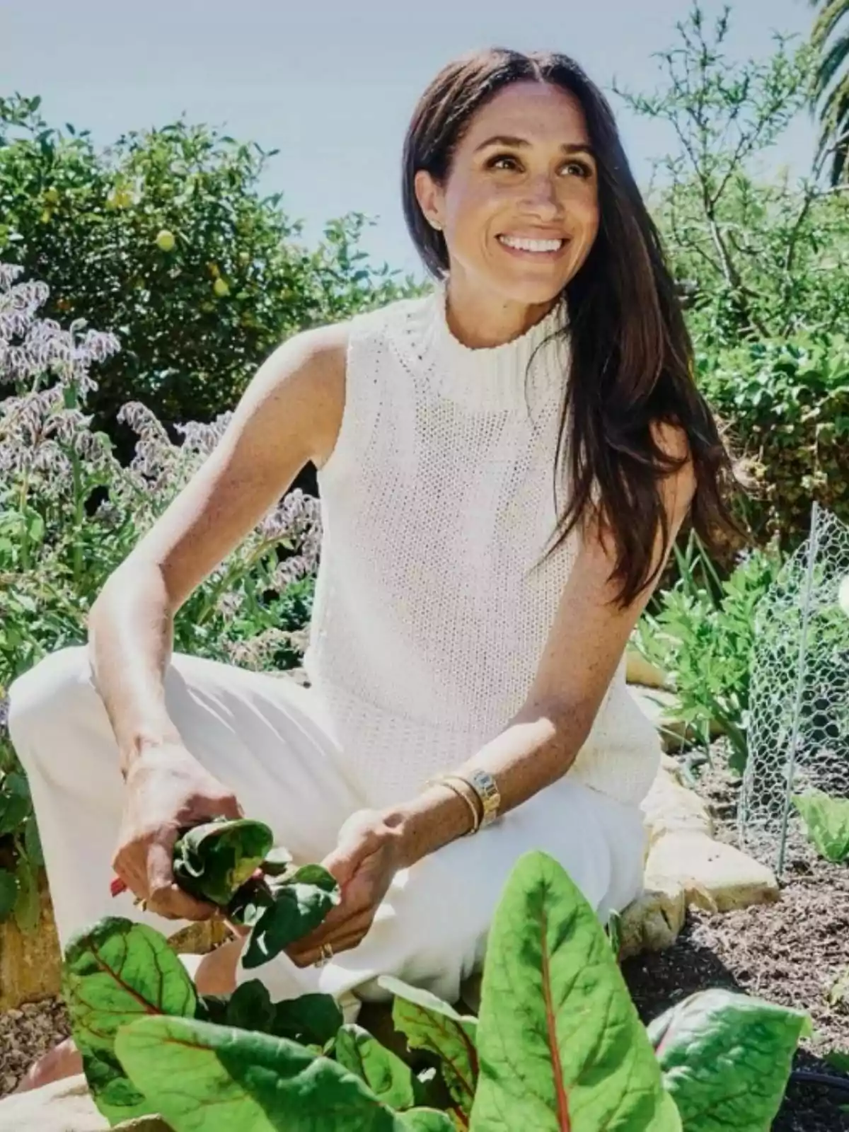 Dona somrient amb cabell llarg i solt vestida de blanc asseguda en un hort mentre cull fulles verdes envoltada de plantes i vegetació sota un cel serè Dona somrient amb cabell llarg i solt vestida de blanc asseguda en un hort mentre cull fulles verdes envoltada de plantes i vegetació sota un cel serè