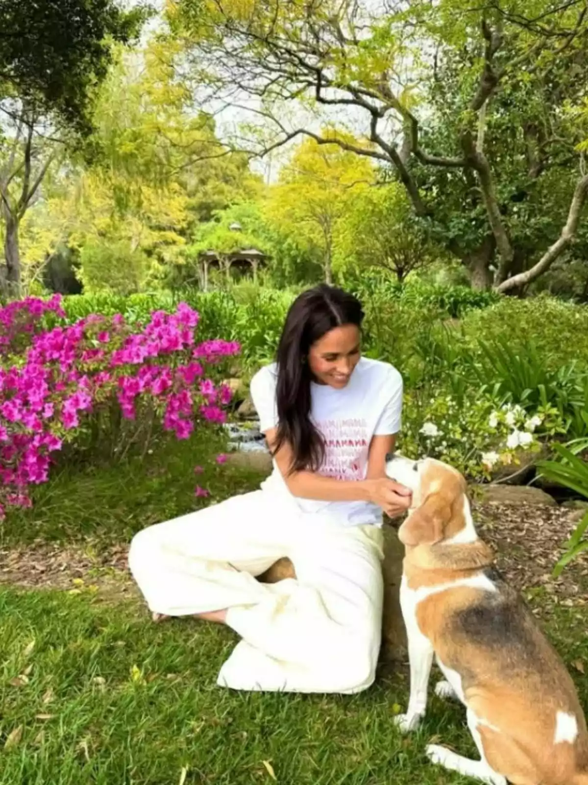 Dona asseguda a la gespa acariciant un gos beagle en un jardí amb flors roses i arbres verds al fons Dona asseguda a la gespa acariciant un gos beagle en un jardí amb flors roses i arbres verds al fons