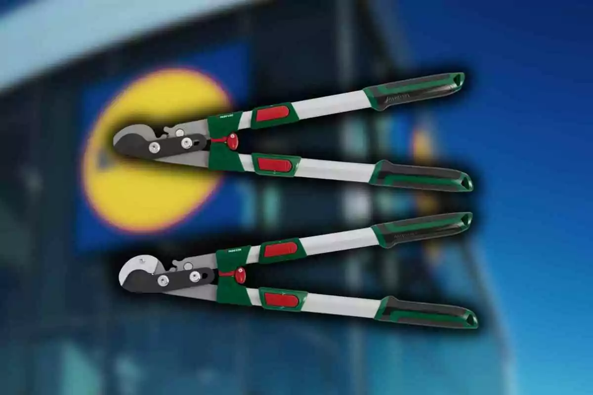 Tijeras de podar extensibles con mango verde y gris sobre un fondo desenfocado de una tienda Tijeras de podar extensibles con mango verde y gris sobre un fondo desenfocado de una tienda