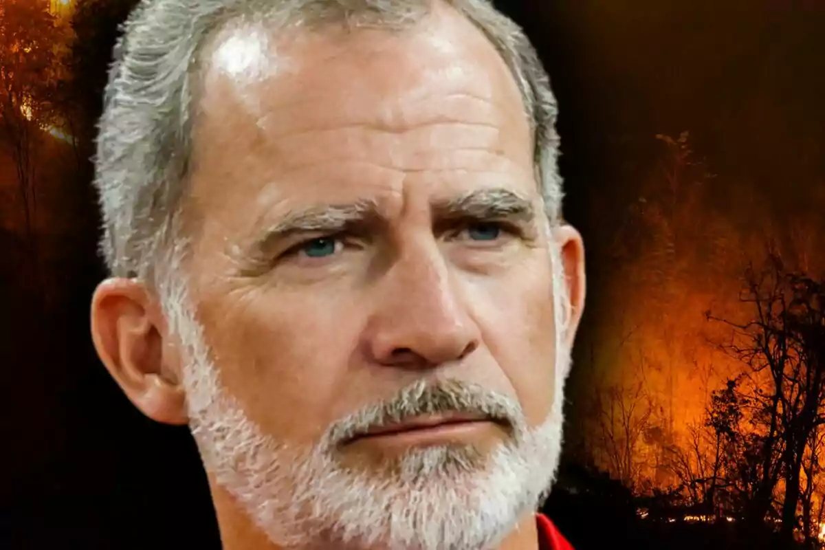 Primer plano del rey Felipe de Borbón con expresión seria al frente de un incendio forestal.