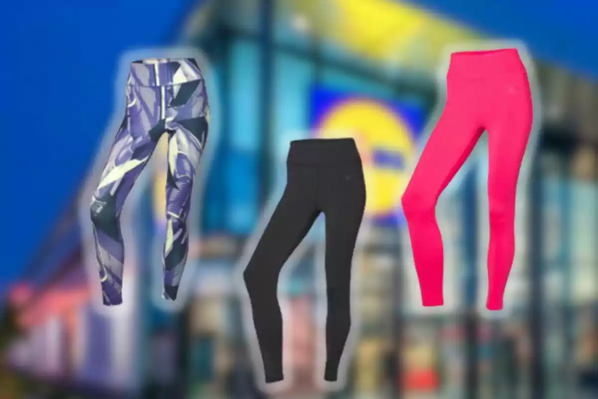 Three leggings in different colors and designs are on a blurred store background. Three leggings in different colors and designs are on a blurred store background.