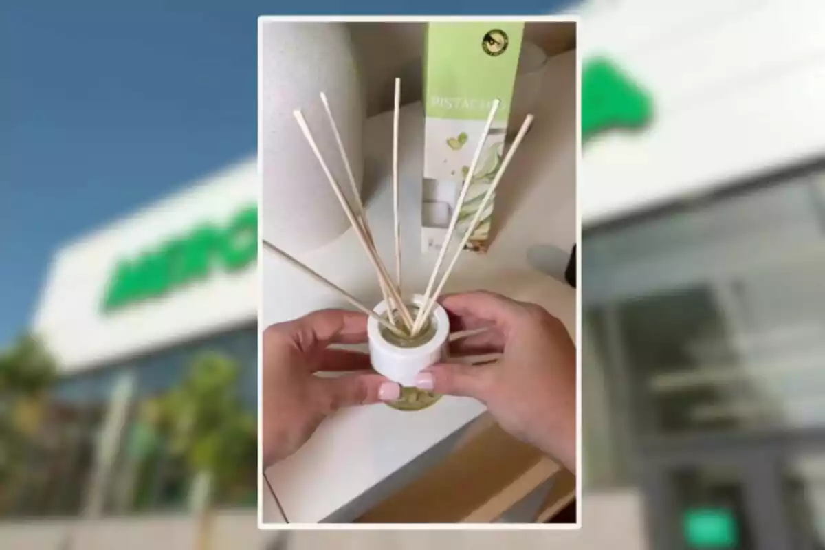 Mans sostenint un difusor de varetes amb aroma de festuc sobre una taula blanca Mans sostenint un difusor de varetes amb aroma de festuc sobre una taula blanca