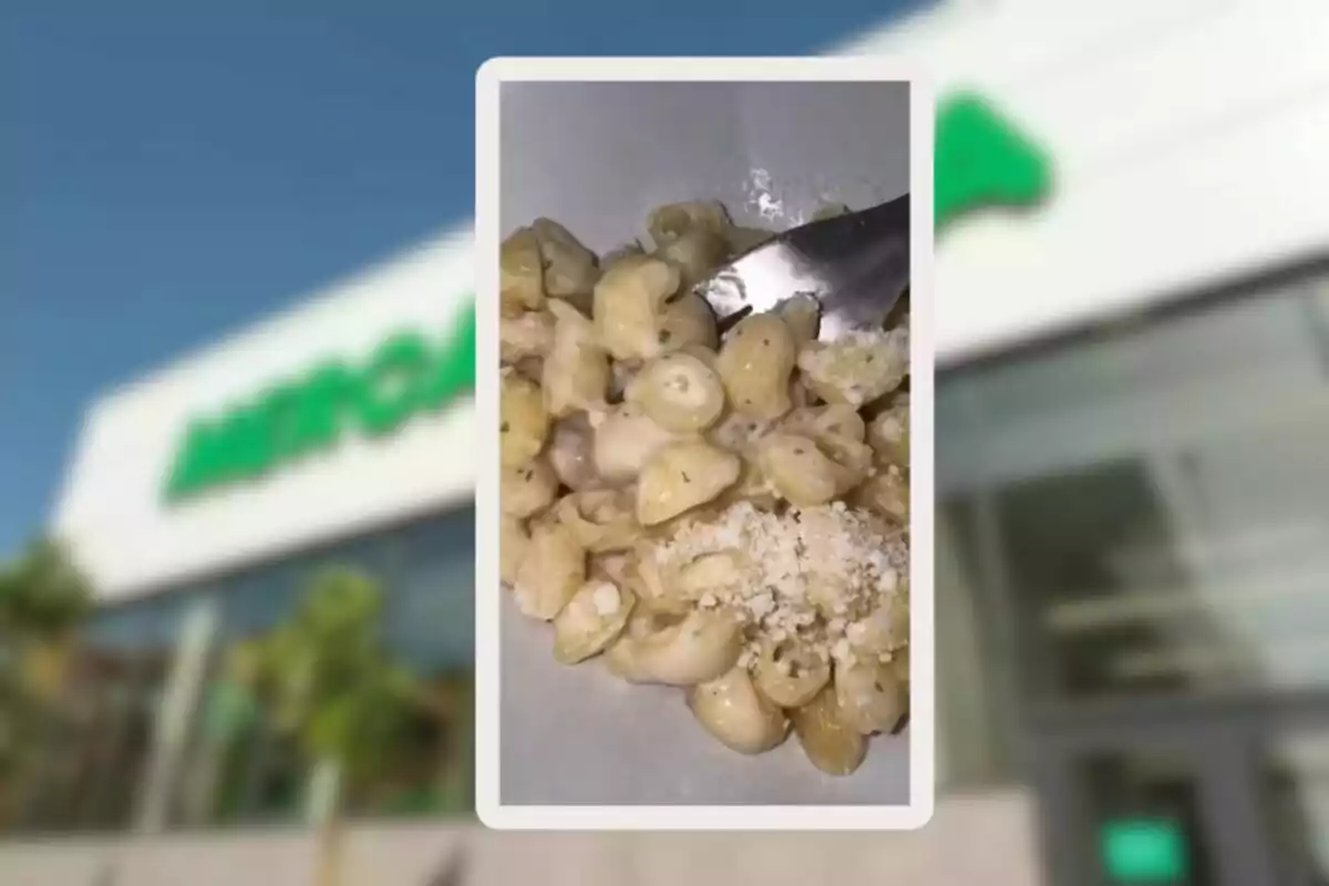 Pasta corta con salsa cremosa y queso rallado en un plato con un tenedor, sobre un fondo desenfocado de una tienda. Pasta corta con salsa cremosa y queso rallado en un plato con un tenedor, sobre un fondo desenfocado de una tienda.