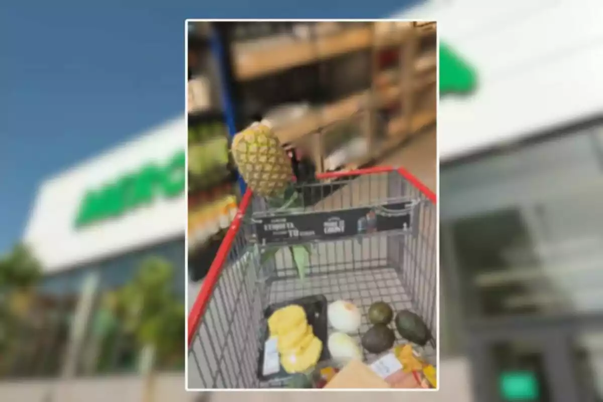 Carretó de supermercat amb una pinya, alvocats, cebes i altres productes a l'interior dins d'una botiga Carretó de supermercat amb una pinya, alvocats, cebes i altres productes a l'interior dins d'una botiga