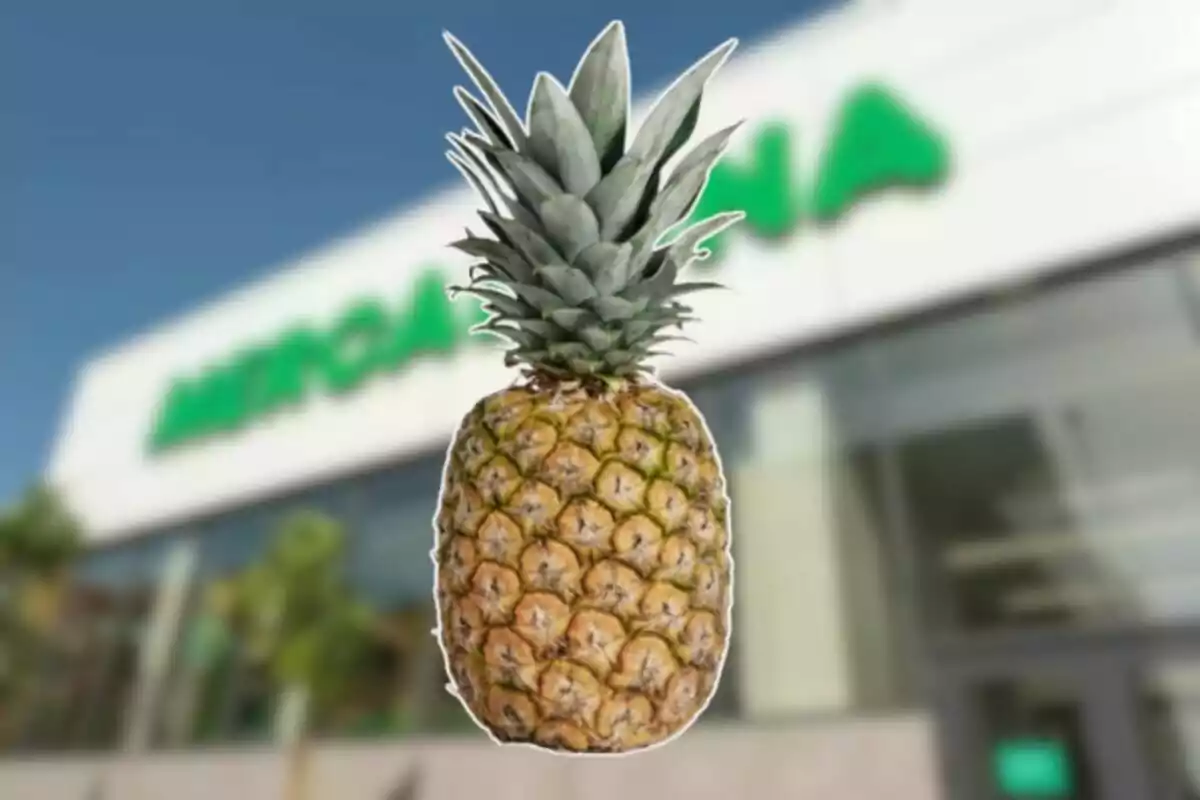 Una pinya en primer pla amb el fons desenfocat d’una botiga Una pinya en primer pla amb el fons desenfocat d’una botiga