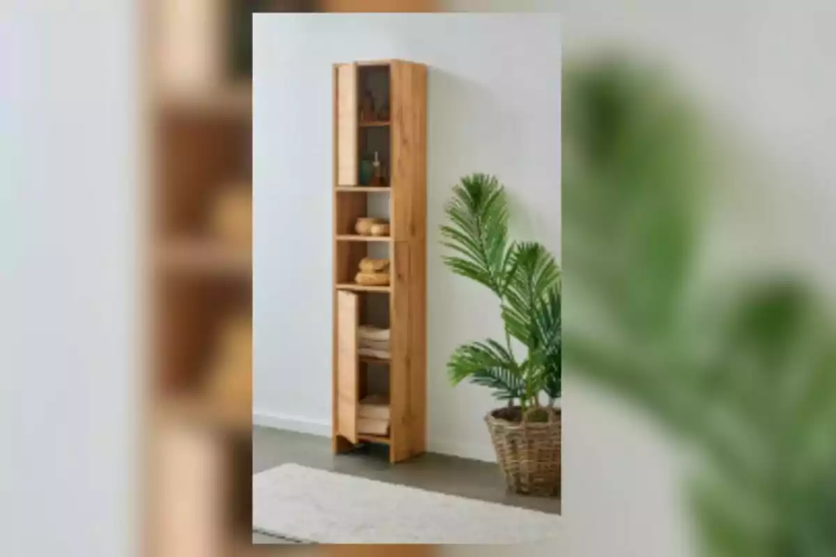 Mueble alto de madera con estantes y puertas junto a una planta en maceta de mimbre sobre un piso gris Mueble alto de madera con estantes y puertas junto a una planta en maceta de mimbre sobre un piso gris