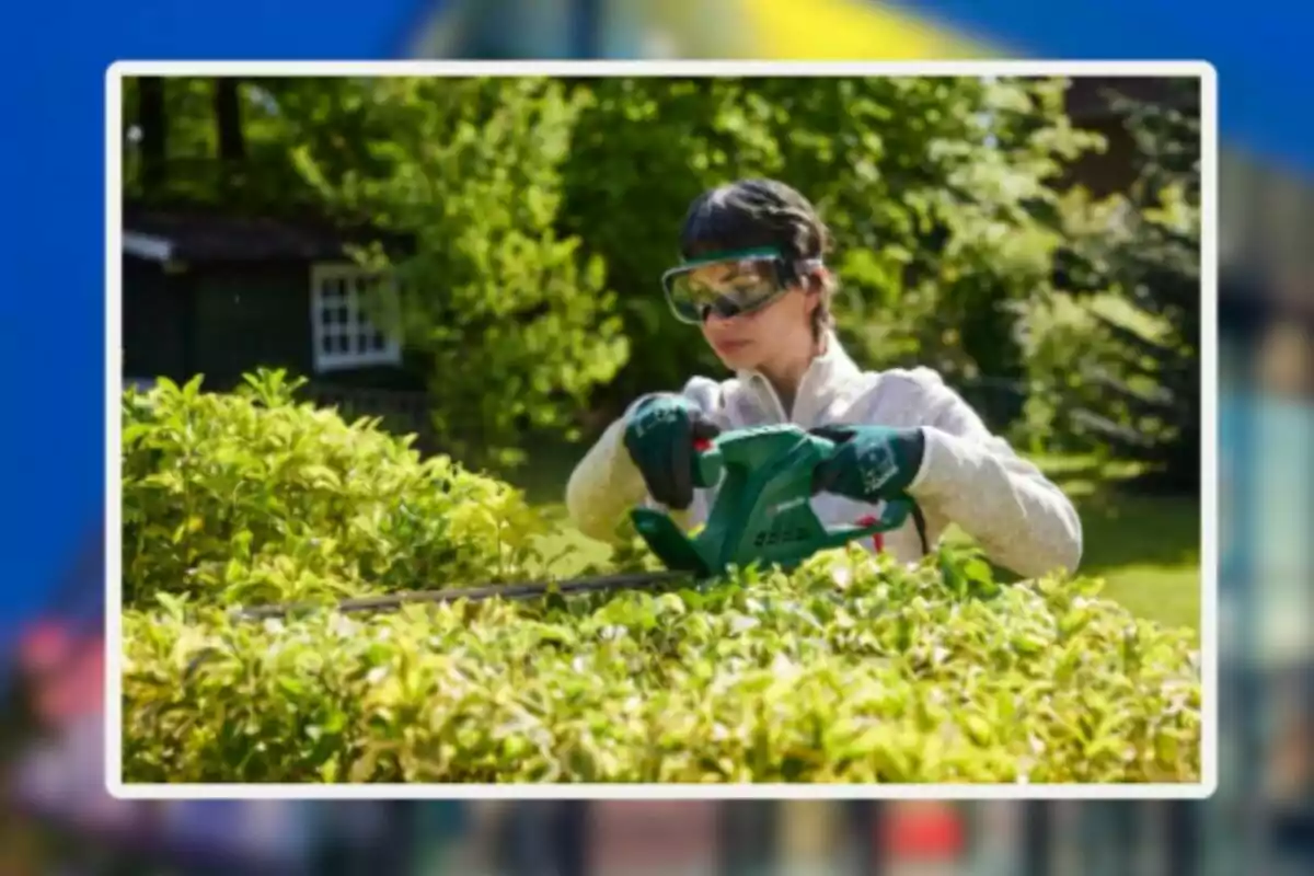 Person wearing gloves and protective goggles while trimming a hedge in a garden with a power tool surrounded by vegetation