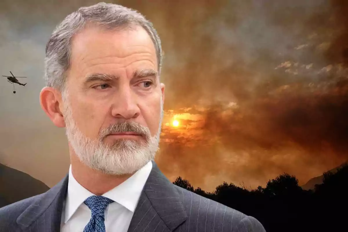 King Felipe, with gray hair and beard, wearing a suit and tie, looking to the left with a background of a forest fire and a helicopter in the smoke-filled sky