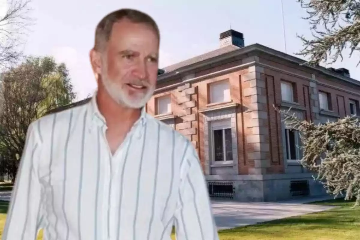 Muntatge amb el rei Felip VI, amb barba canosa i camisa de ratlles, i el Palau de la Zarzuela de fons