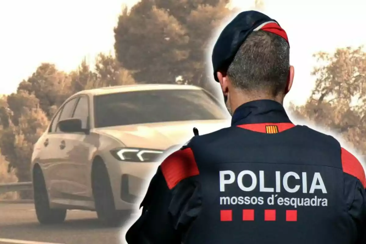 Agente de los Mossos d'Esquadra de espaldas observando un coche blanco en una carretera rodeada de árboles