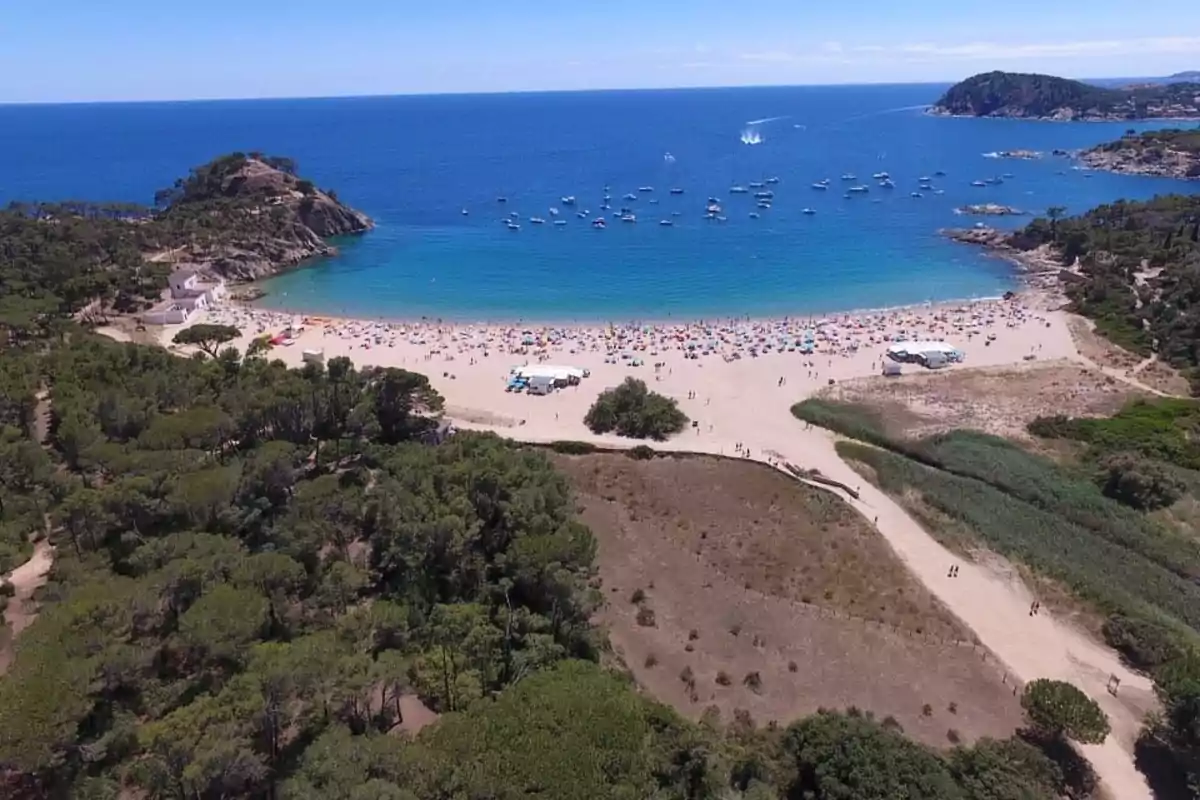 Vista aèria d’una platja de sorra clara amb para-sols de colors, envoltada de vegetació i turons, amb nombroses barques al mar blau Vista aèria d’una platja de sorra clara amb para-sols de colors, envoltada de vegetació i turons, amb nombroses barques al mar blau