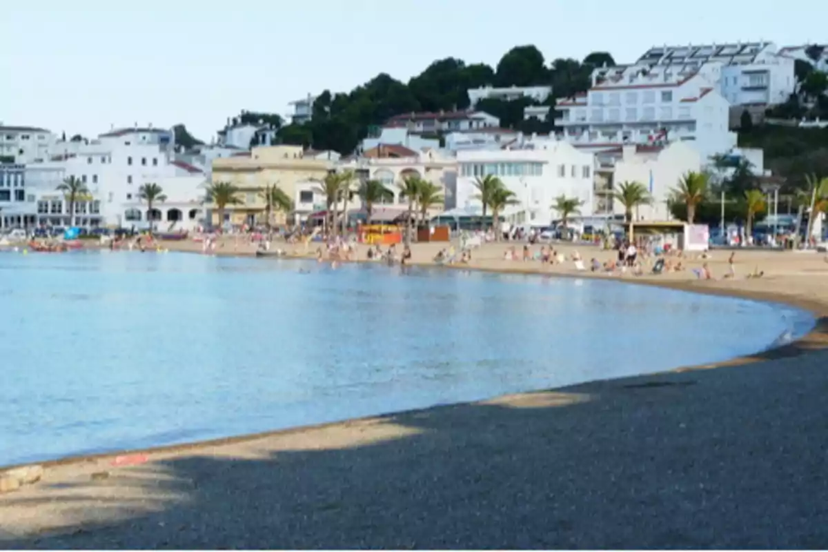 Platja del Port de Llançà Platja del Port de Llançà