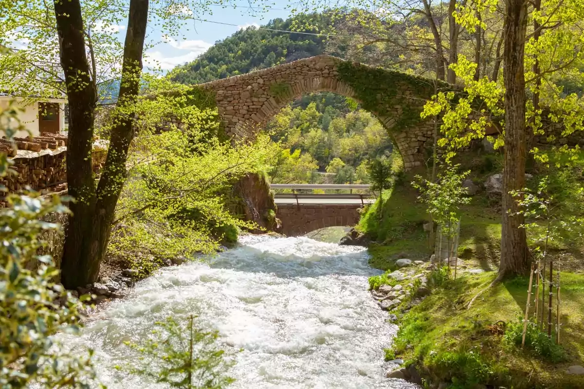 Puente de piedra antiguo cubierto de vegetación sobre un río rodeado de árboles y naturaleza en un entorno montañoso Puente de piedra antiguo cubierto de vegetación sobre un río rodeado de árboles y naturaleza en un entorno montañoso
