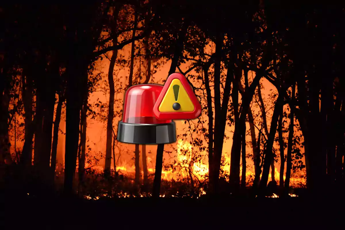 Risc d’incendi forestal