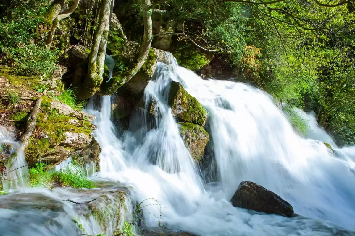 Cascada de agua cristalina fluyendo entre rocas y árboles en un entorno natural lleno de vegetación verde Cascada de agua cristalina fluyendo entre rocas y árboles en un entorno natural lleno de vegetación verde