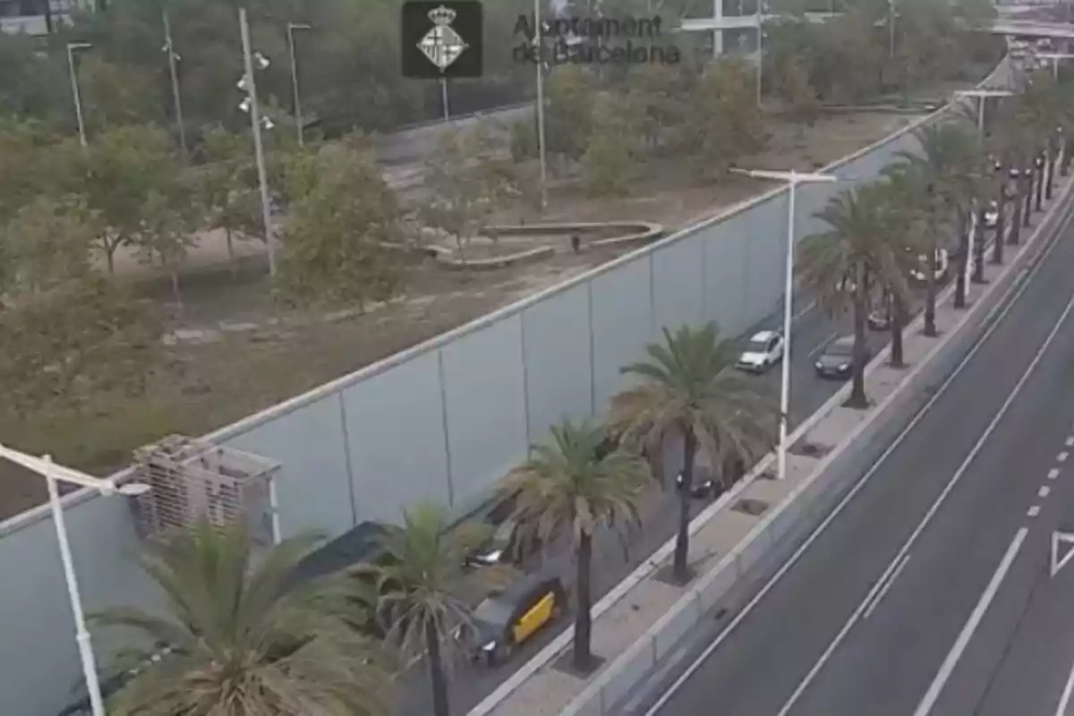 Vista aérea de una calle en Barcelona con varios coches circulando junto a una fila de palmeras y un muro gris, al fondo se observan árboles y un parque
