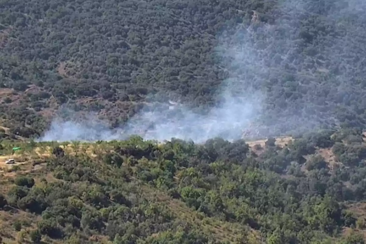 Fum sortint d’una zona boscosa en una àrea muntanyosa