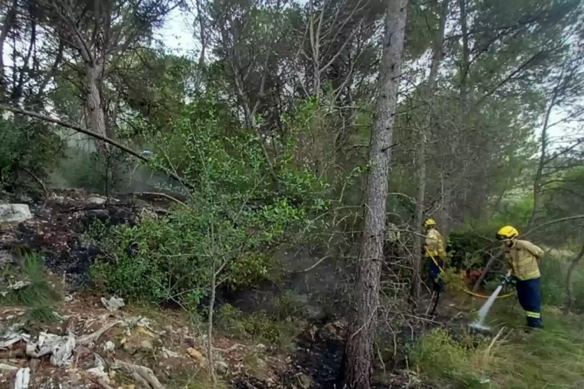 Dos bomberos con casco amarillo apagan un incendio forestal en una zona boscosa rodeada de árboles y vegetación