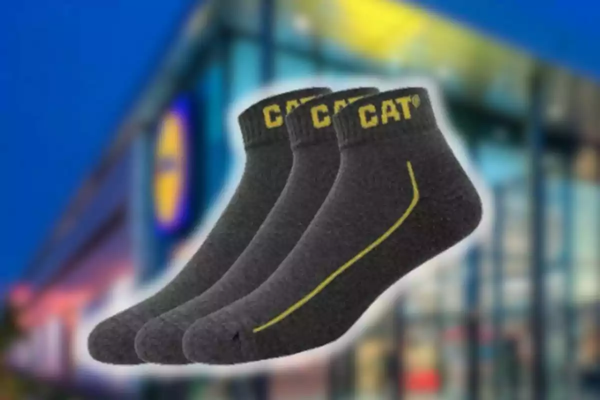 Tres parells de mitjons grisos de la marca CAT amb detalls grocs sobre un fons desenfocat d’una botiga Tres parells de mitjons grisos de la marca CAT amb detalls grocs sobre un fons desenfocat d’una botiga
