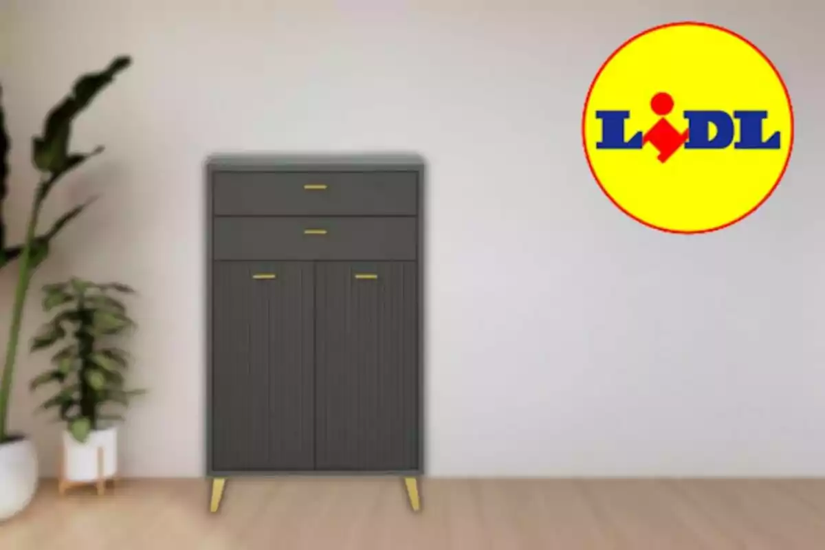 Mueble oscuro con patas doradas junto a una planta en una habitación, con el logo de Lidl en la pared blanca Mueble oscuro con patas doradas junto a una planta en una habitación, con el logo de Lidl en la pared blanca