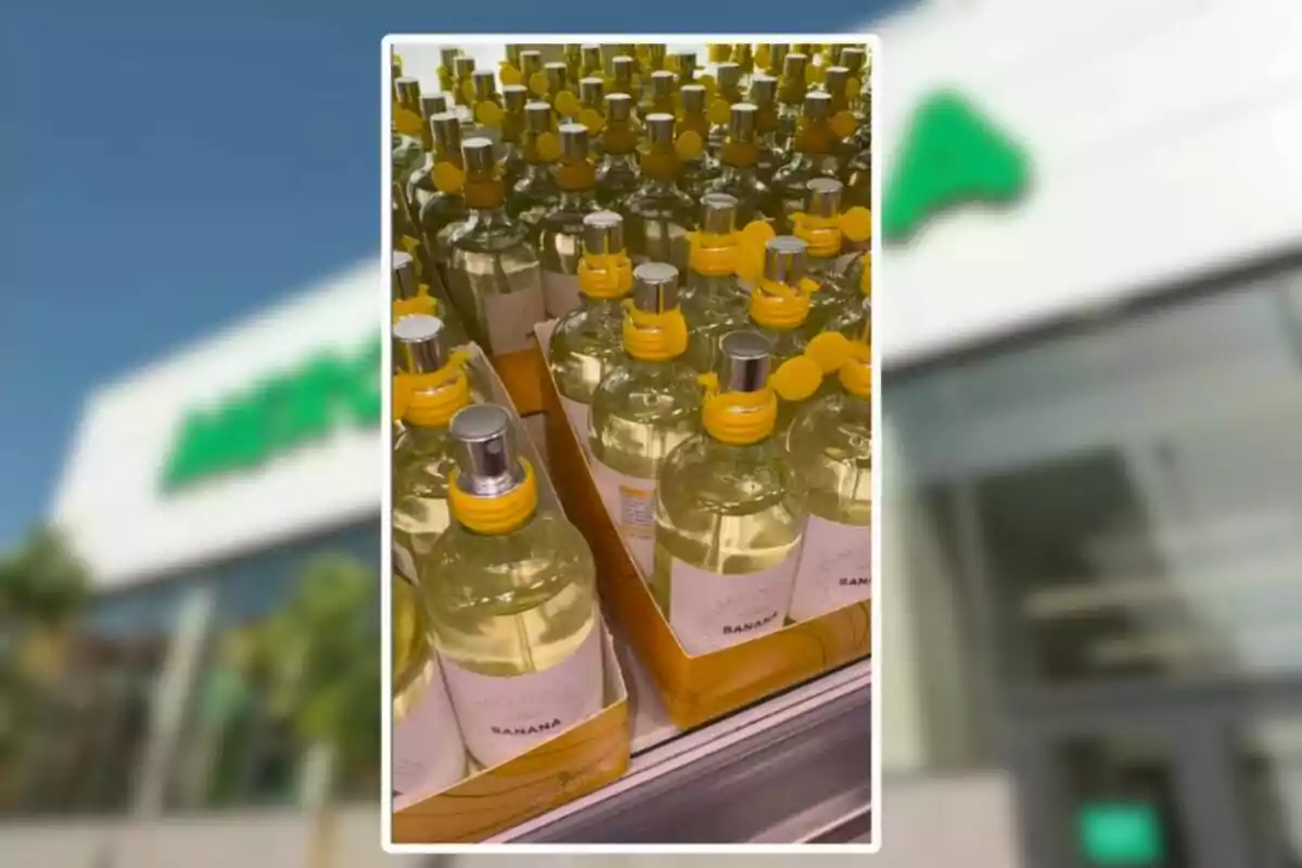 Diverses ampolles de colònia amb dispensador platejat i tap groc organitzades en una safata dins d’una botiga Diverses ampolles de colònia amb dispensador platejat i tap groc organitzades en una safata dins d’una botiga