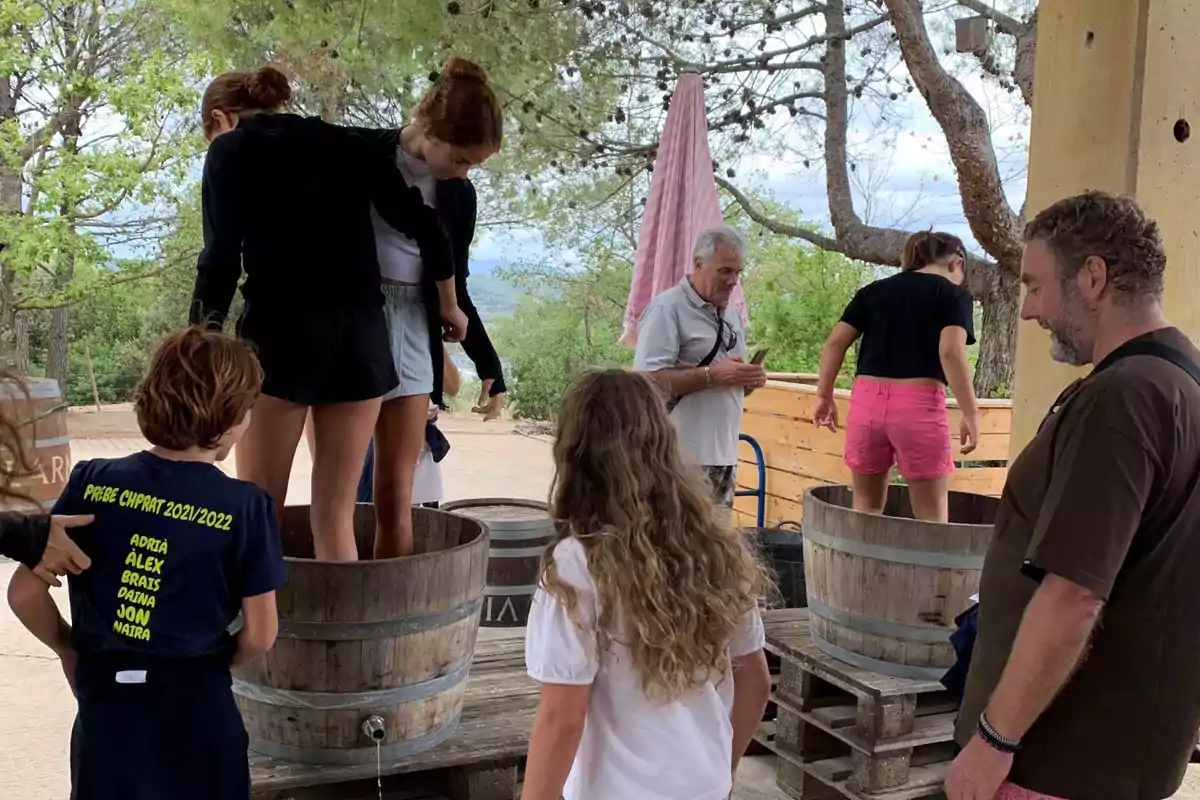 Un grup de persones participen en la tradicional activitat de trepitjat de raïm en un entorn a l'aire lliure envoltat d'arbres.