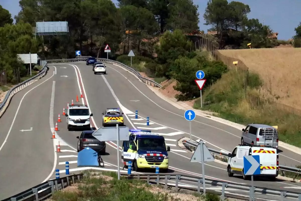 Control policial en una carretera con varios vehículos y conos de tráfico.