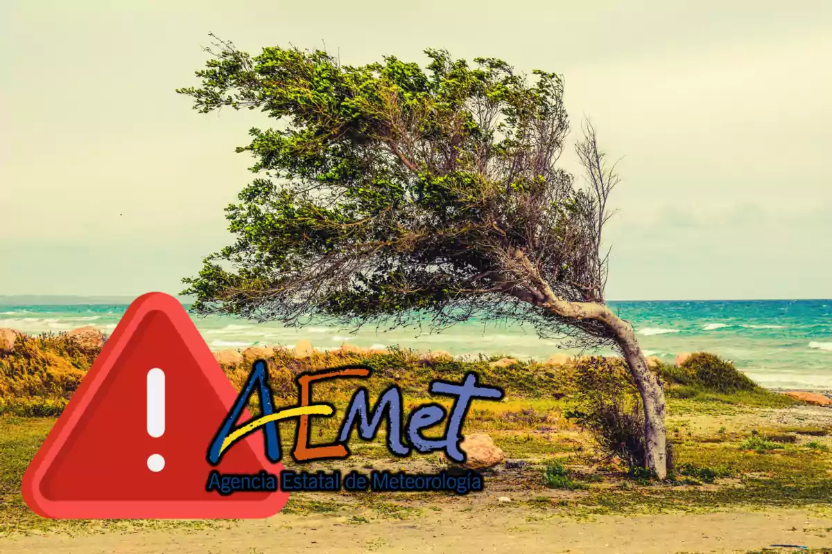 Alerta AEMET por fuertes vientos