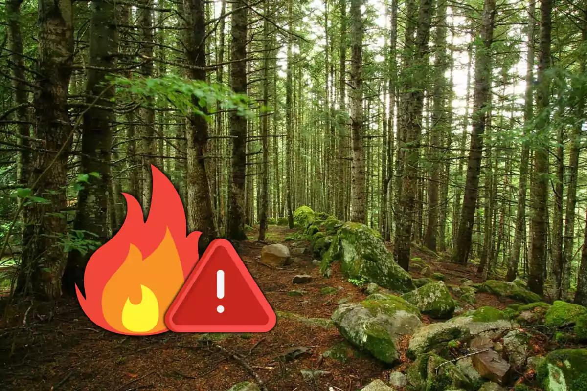 Alerta por incendio forestal en Catalunya