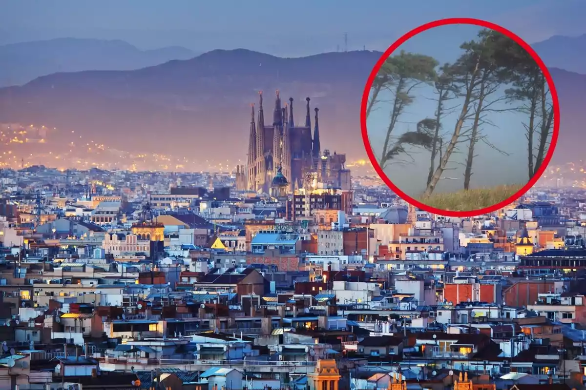 Vista panoràmica d´una ciutat amb una catedral destacada al fons i un cercle vermell que mostra un grup d´arbres inclinats.