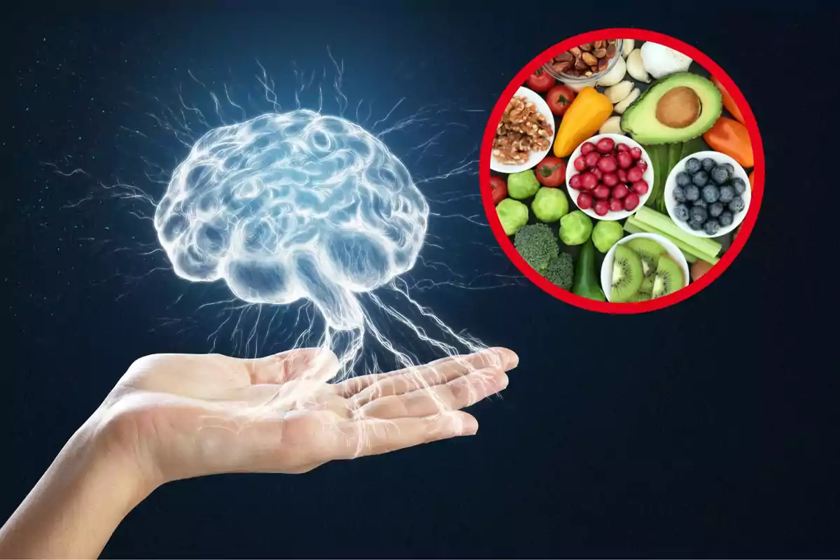 Mano sosteniendo una representación gráfica de un cerebro con un círculo que muestra alimentos saludables.