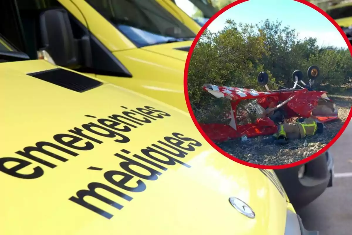 Un vehículo de emergencias médicas amarillo y un pequeño avión rojo volcado en un área con arbustos.