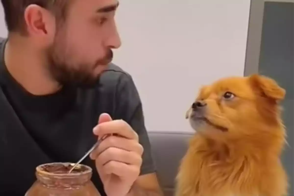 Un hombre con barba sostiene una cuchara y un frasco mientras un perro lo mira fijamente.