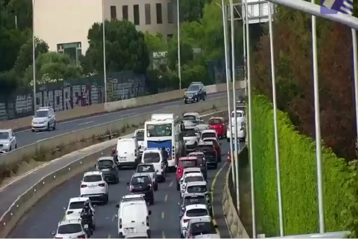 Trànsit dens en una avinguda amb diversos cotxes i un autobús aturats al costat d’una paret coberta de vegetació
