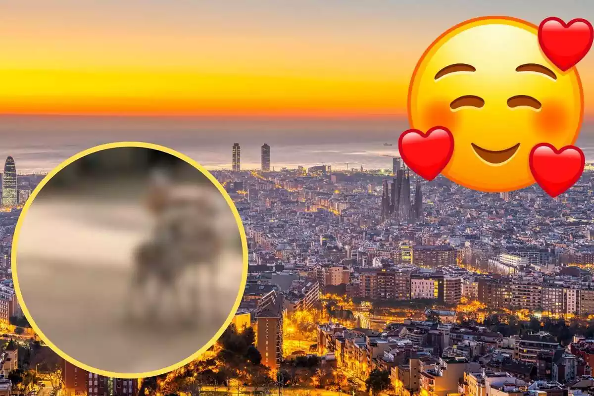 Muntatge amb una imatge de la ciutat de Barcelona de fons. A la cantonada superior dreta, l'emoticona d'una cara amb cors. A la cantonada inferior esquerra, difuminada i dins d'un cercle, imatge dels animals que han nascut