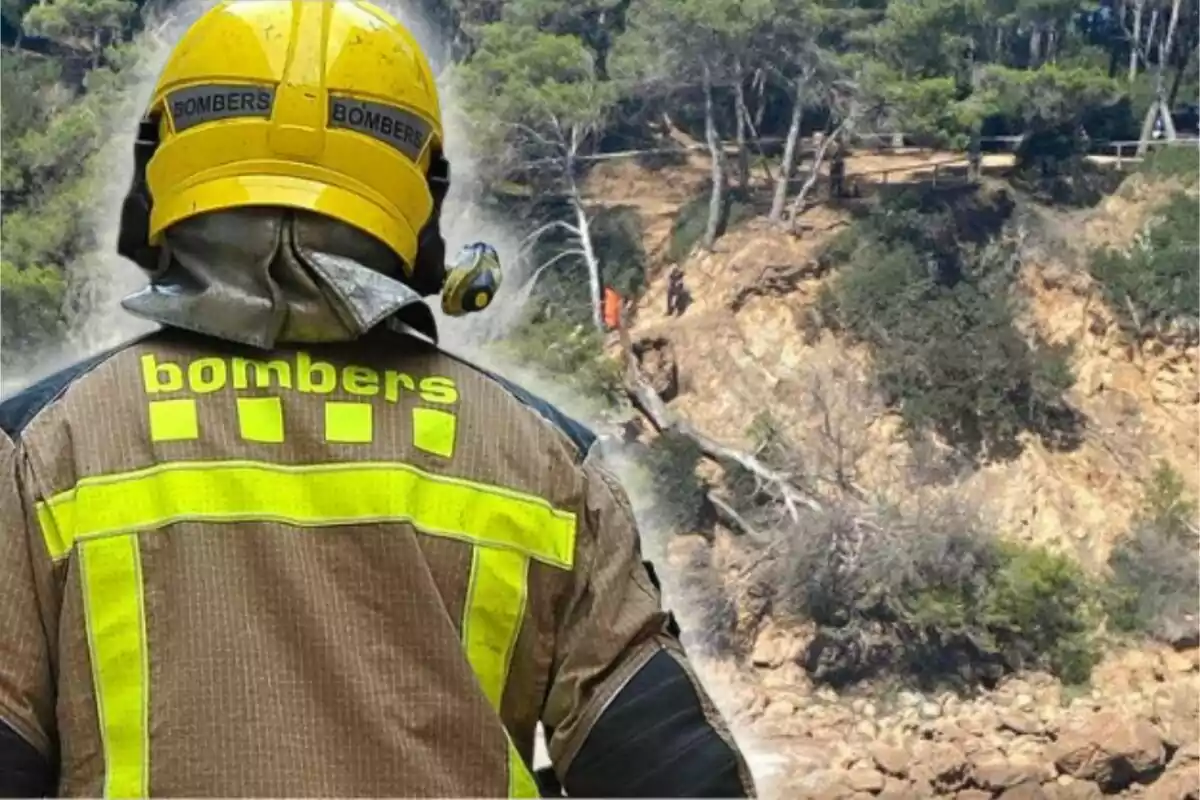 Un bombero con casco y uniforme de protección observa un área boscosa y rocosa.