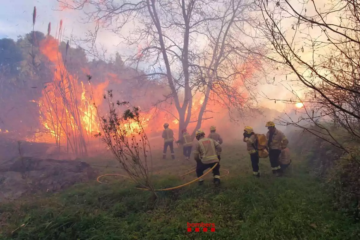 Bombers combatent un incendi forestal