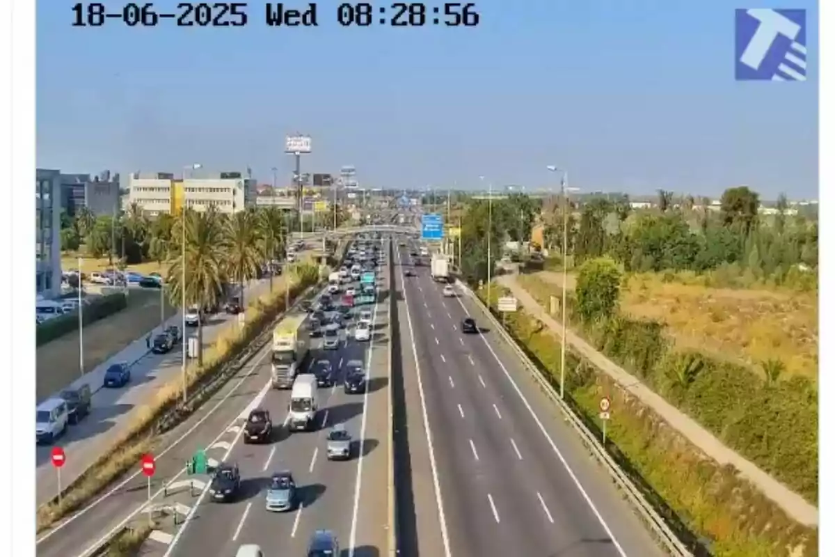 Trànsit dens en una autopista de diversos carrils envoltada de vegetació i edificis sota un cel serè