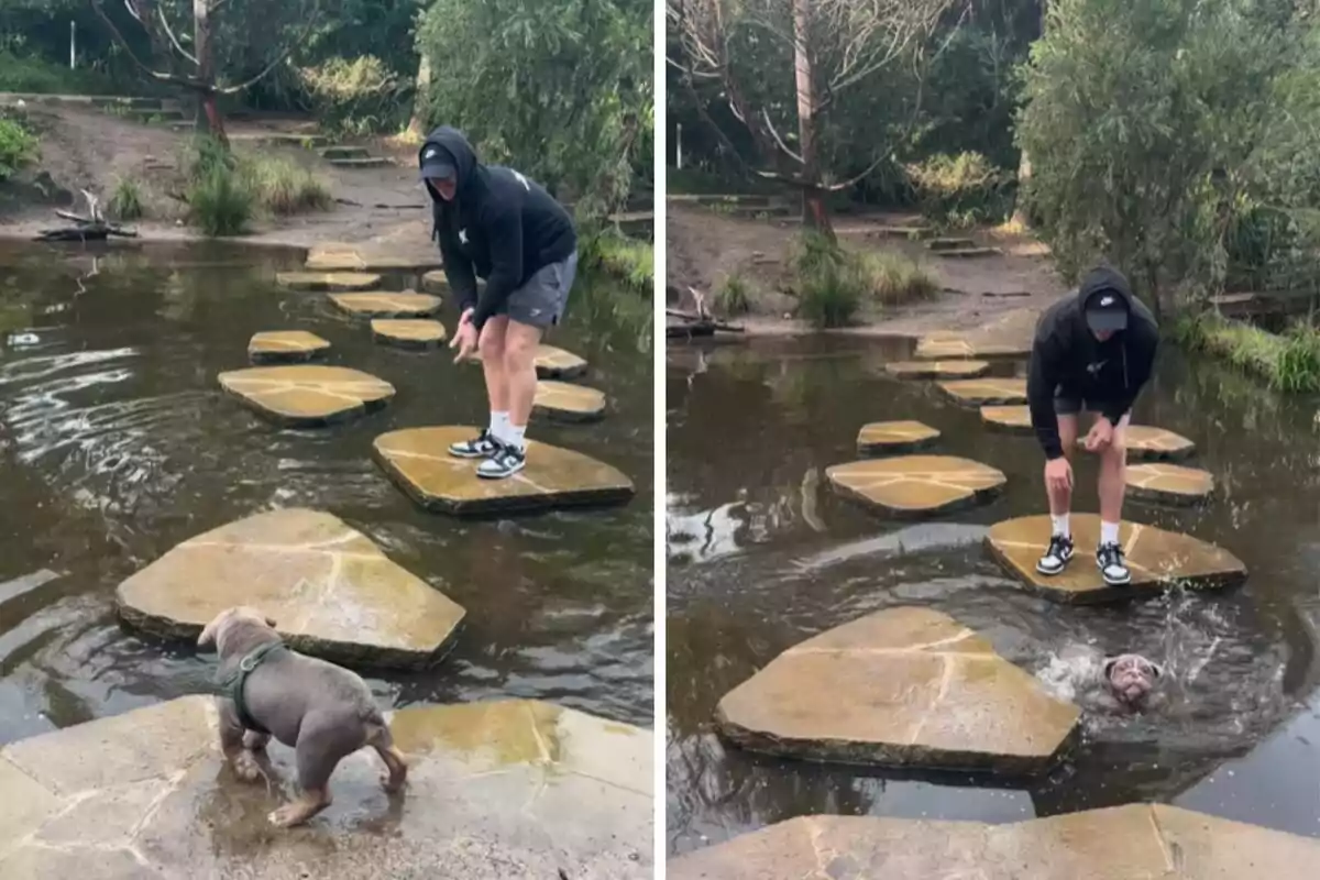 Un hombre con sudadera y gorra está de pie sobre una piedra en un estanque, mientras un perro cae al agua desde otra piedra cercana.