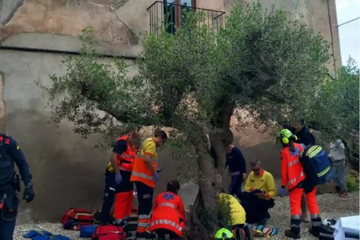 Un grupo de SEM atiende una emergencia junto a un árbol frente a un edificio.