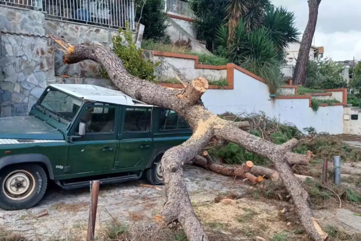 Caída de árbol sobre un coche en Sant Fost de Campsentelles