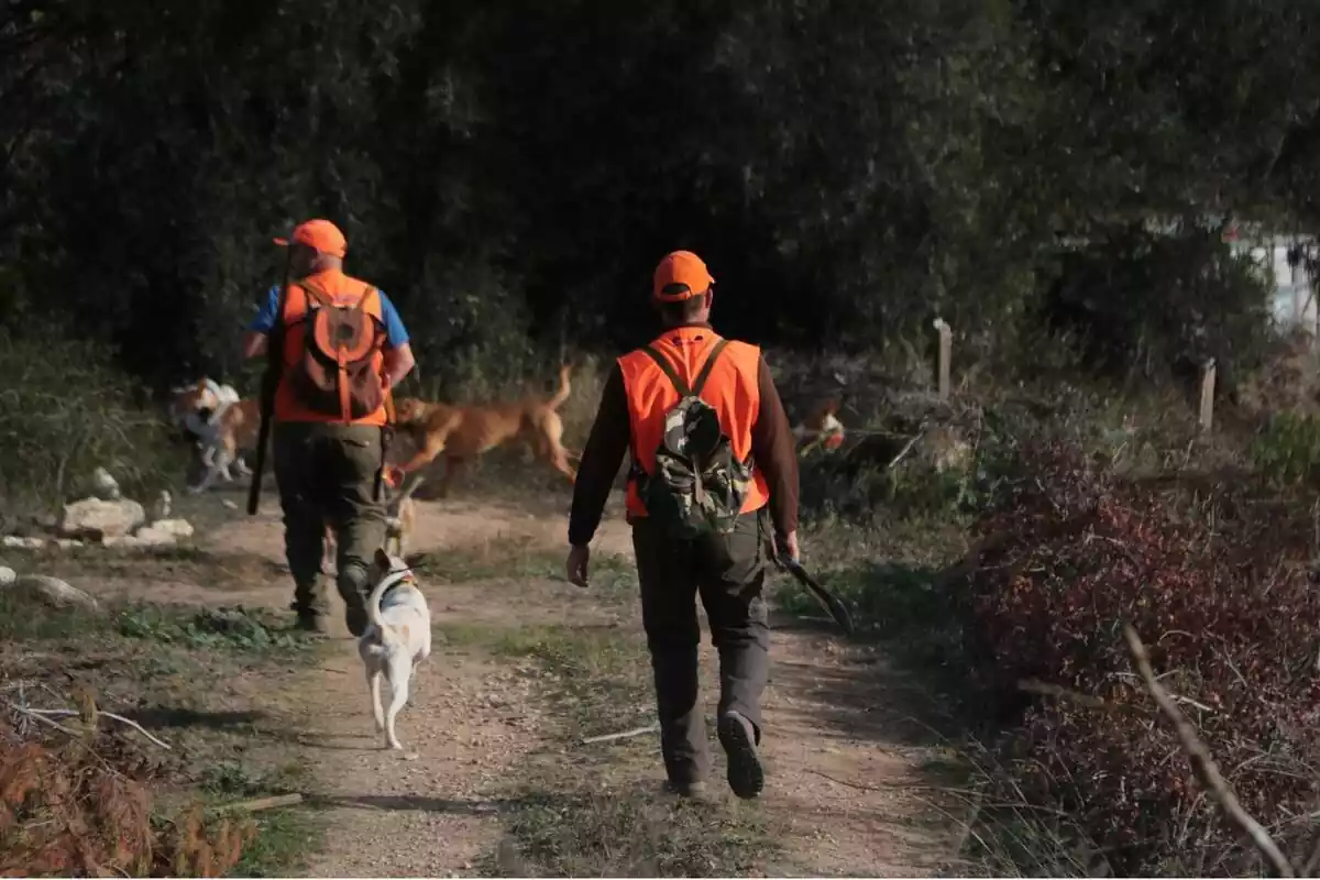 Un grup de caçadors amb els gossos en un camí forestal