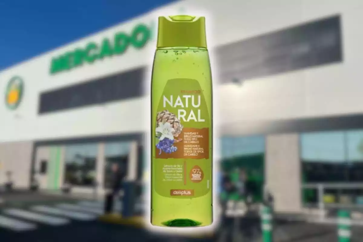 Champú natural bote verde Deliplus sobre fondo desenfocado de Mercadona Champú natural bote verde Deliplus sobre fondo desenfocado de Mercadona