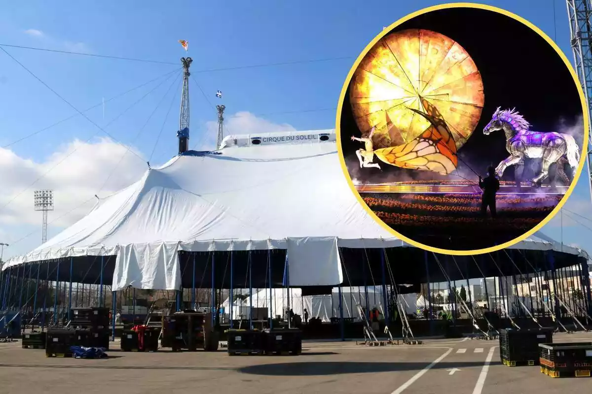 Muntatge amb una imatge d'una carpa del Cirque du Soleil a primer terme. A la cantonada superior dreta, dins d'un cercle, una imatge de l'espectacle en directe