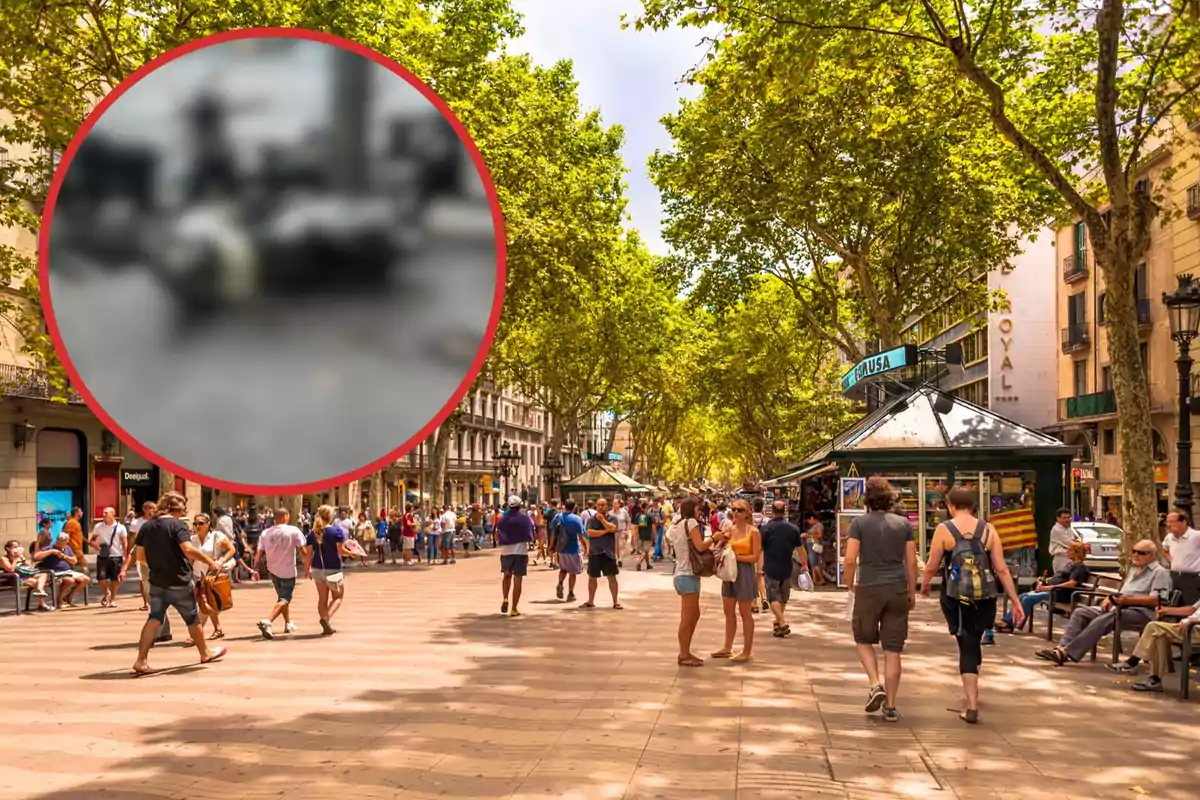 Un concorregut carrer de vianants amb arbres i parades de venda, amb un cercle borrós a la cantonada superior esquerra.