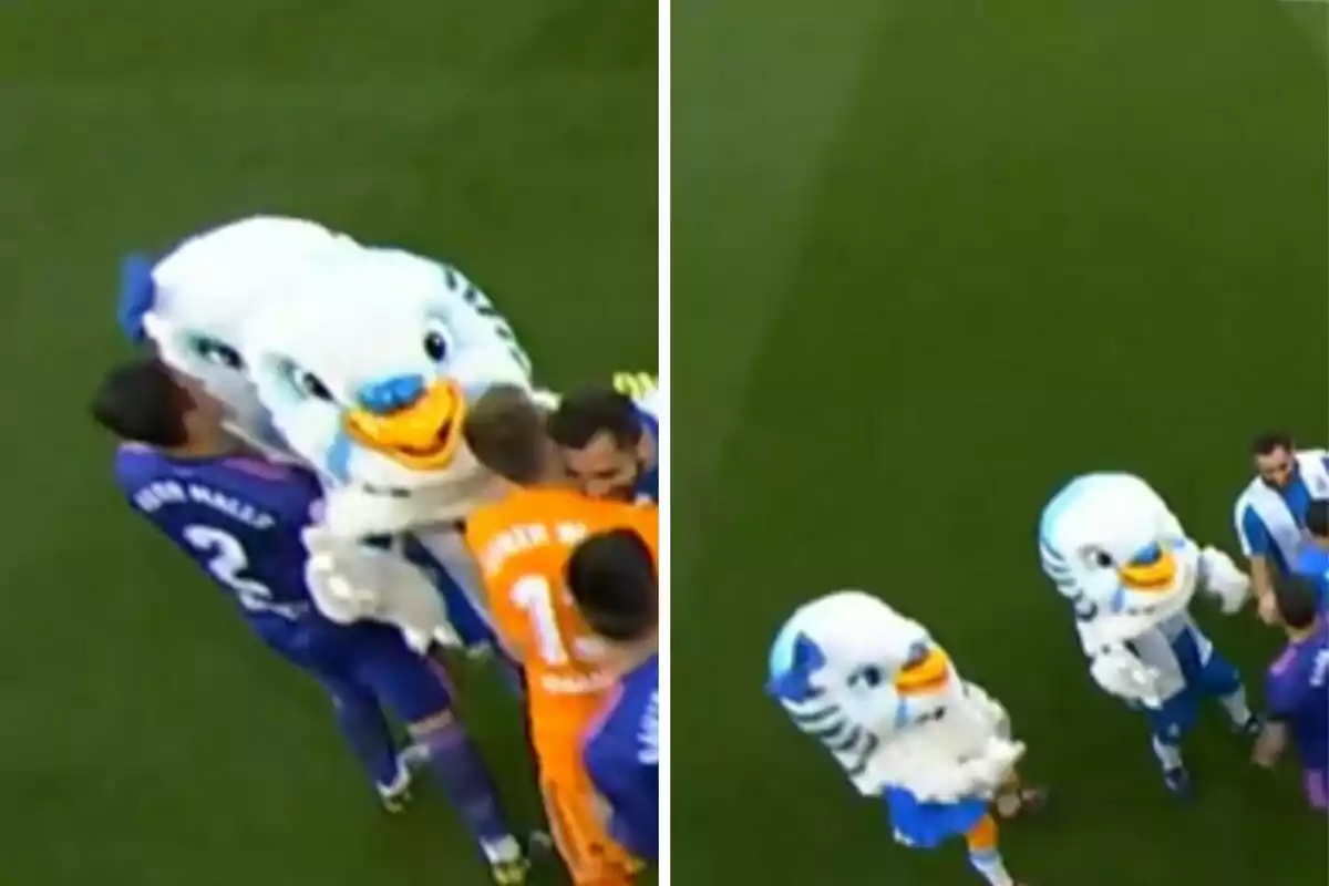 Dos personas disfrazadas de aves están en un campo de fútbol, interactuando con jugadores.